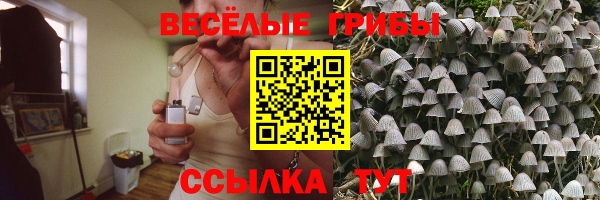 Саратов  Галлюциногенные грибы Psilocybine cubensis  Вход с VPN  Псилоцибиновые грибы Psilocybine cubensis 