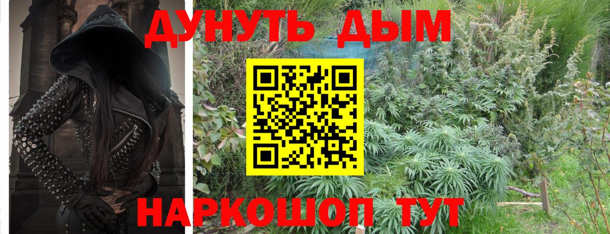 Бошки Шишки планчик Саратов